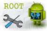 Root :        